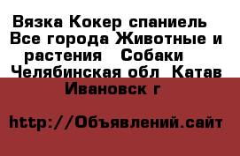 Вязка Кокер спаниель - Все города Животные и растения » Собаки   . Челябинская обл.,Катав-Ивановск г.